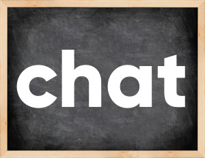 3 forms of the verb chat