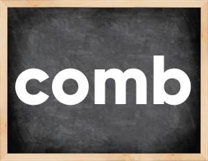 3 forms of the verb comb