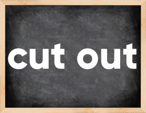 3 forms of the verb cut out
