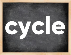 3 forms of the verb cycle