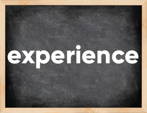 3 forms of the verb experience