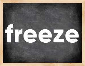 3 forms of the verb freeze