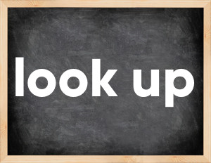 3 forms of the verb look up
