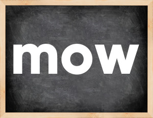 3 forms of the verb mow