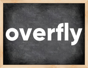 3 forms of the verb overfly