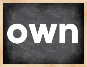 3 forms of the verb own