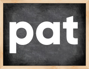 3 forms of the verb pat