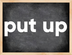 3 forms of the verb put up in English