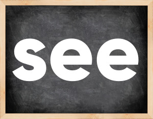 3 forms of the verb see