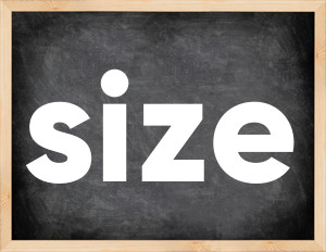 3 forms of the verb size