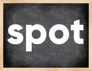 3 forms of the verb spot