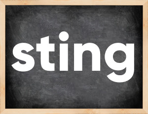 3 forms of the verb sting