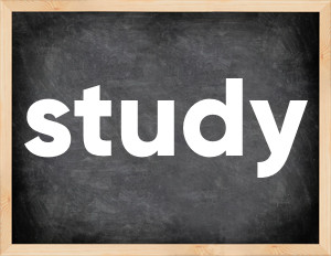 3 forms of the verb study