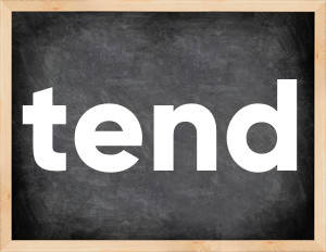3 forms of the verb tend