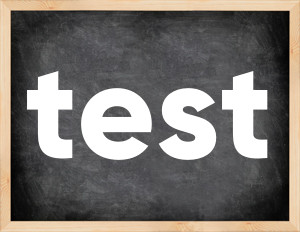 3 forms of the verb test