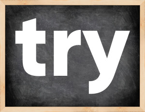 3 forms of the verb try